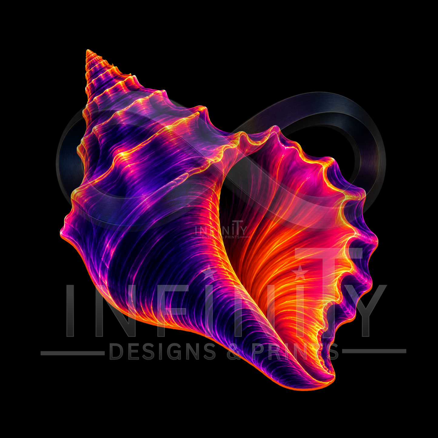 CONCH SHELL